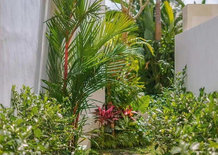 Cocoon - Gaia : Exquisite 1 Bedroom Tropical In Pererenan فيلة *
